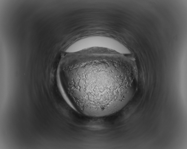 X0000083580271200703021824