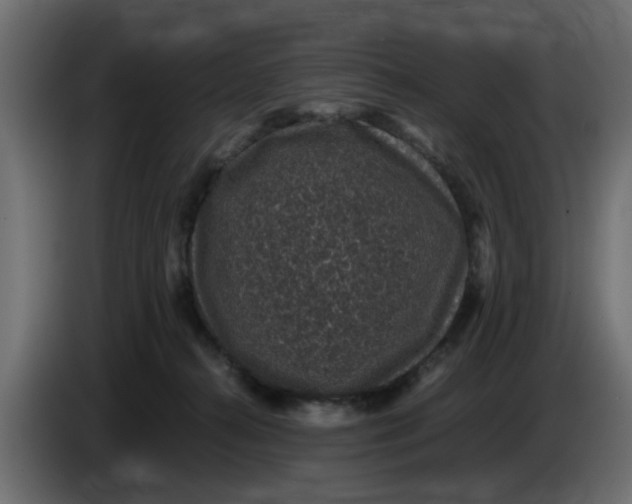 X0000083580272200703021824