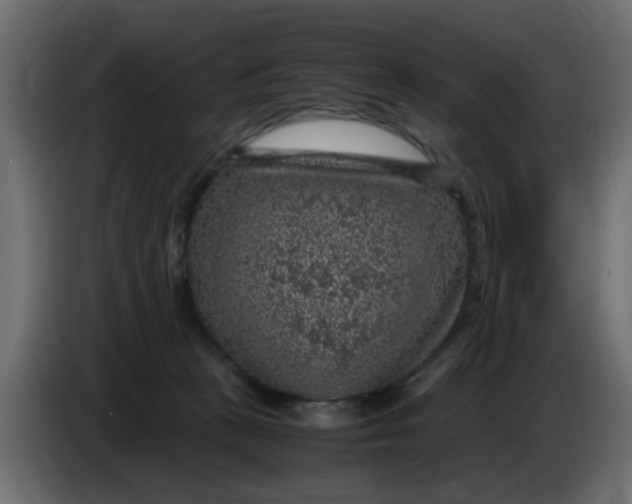 X0000083580273200703021824