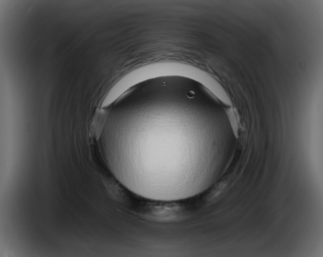 X0000083580274200703021824