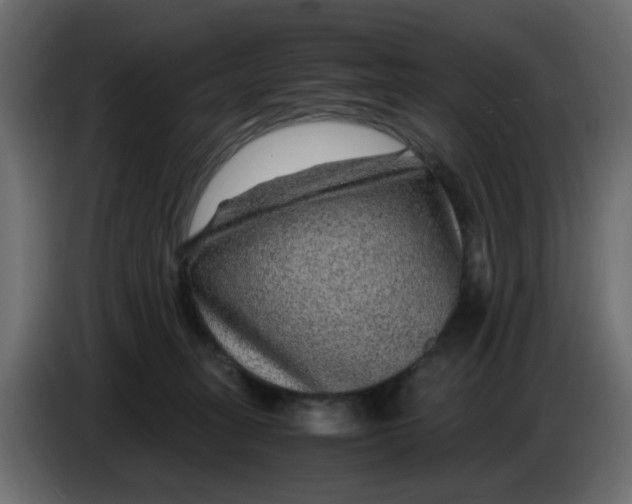 X0000083580275200703021824