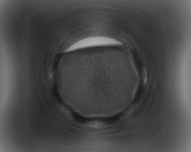 X0000083580276200703021824