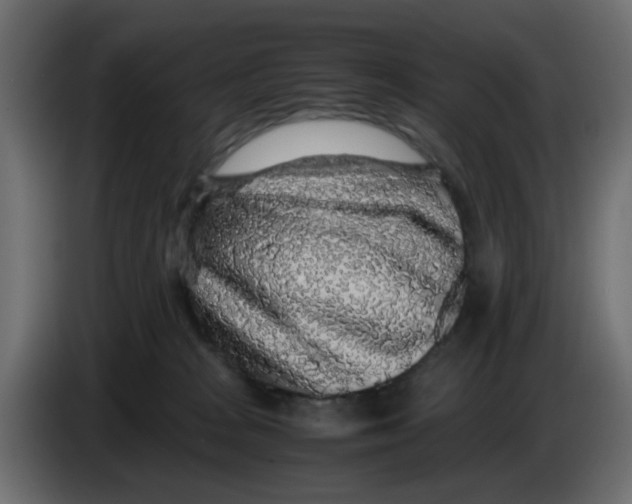 X0000083580277200703021824