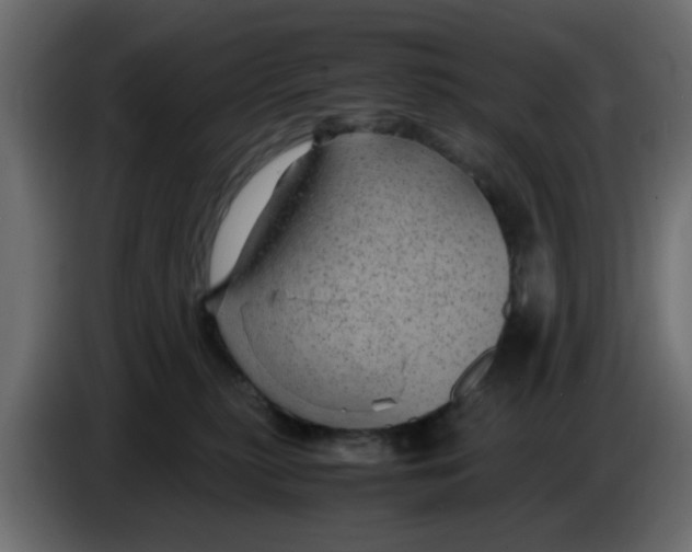 X0000083580279200703021824