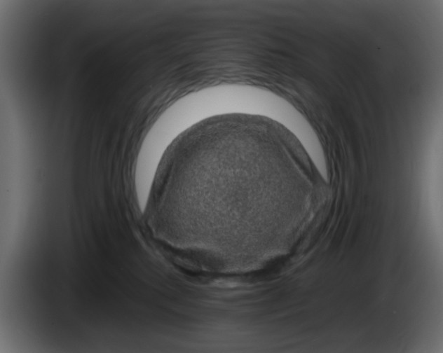 X0000083580280200703021824