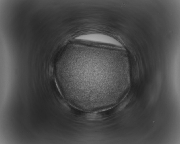 X0000083580281200703021824