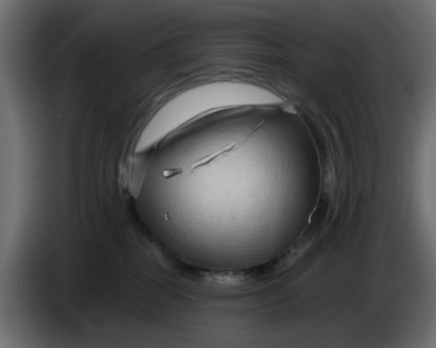 X0000083580282200703021824