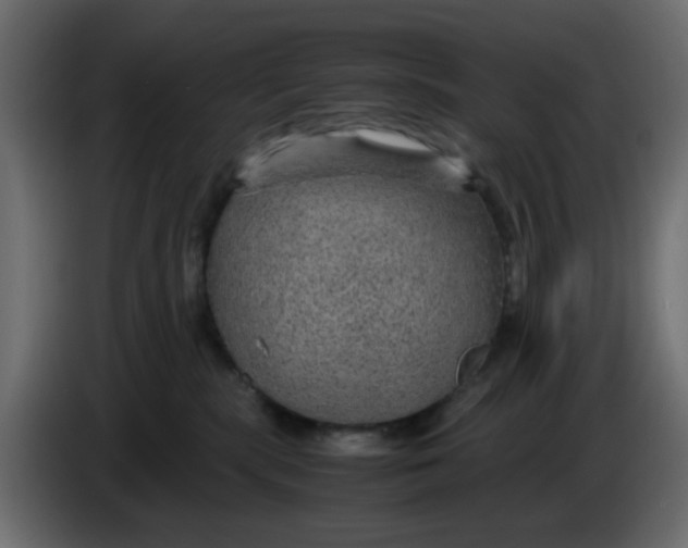 X0000083580283200703021824