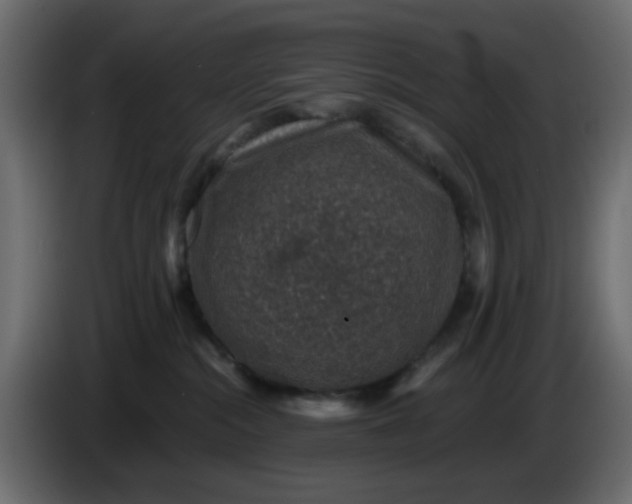 X0000083580284200703021824