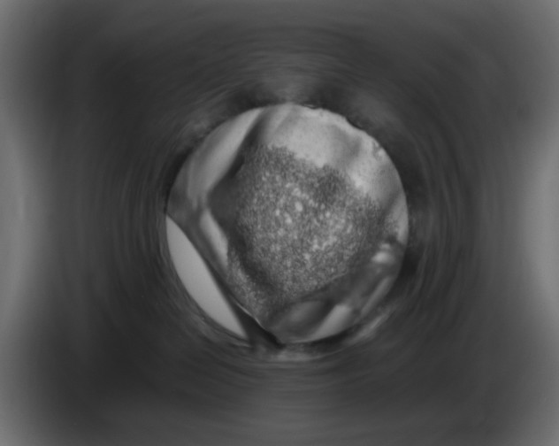 X0000083580286200703021824