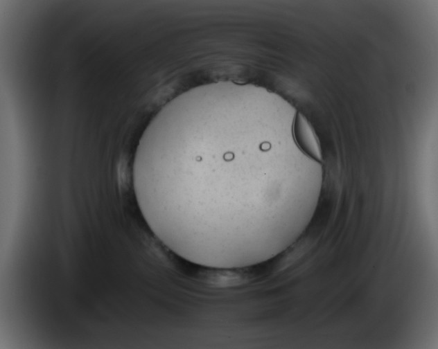 X0000083580287200703021824