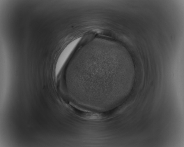 X0000083580288200703021824