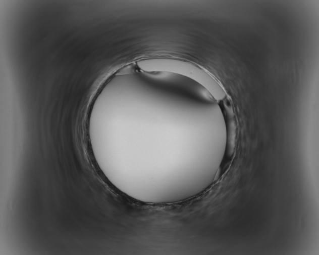 X0000083580289200703021823