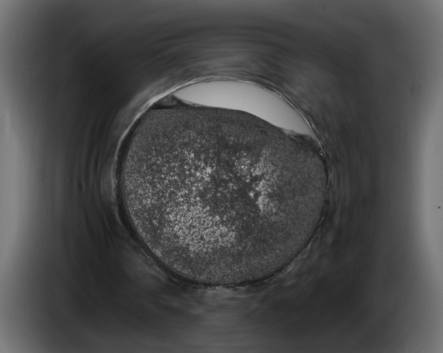 X0000083580290200703021823