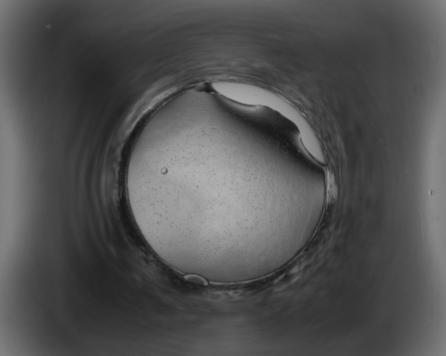 X0000083580291200703021823