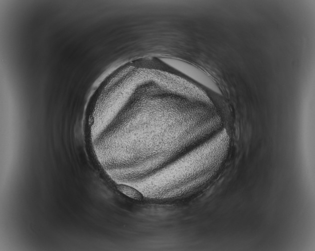 X0000083580292200703021823