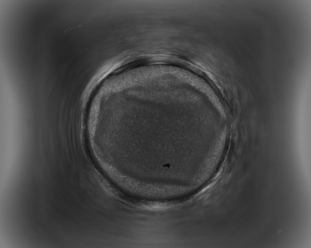 X0000083580293200703021823