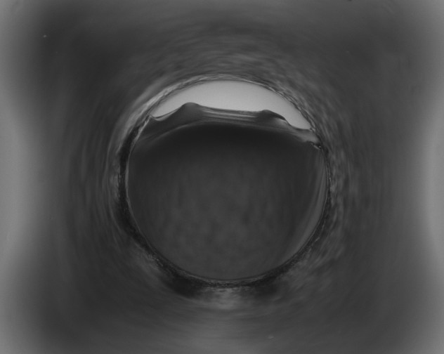 X0000083580295200703021823