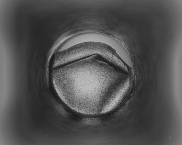 X0000083580296200703021823