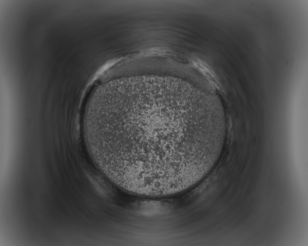 X0000083580298200703021823