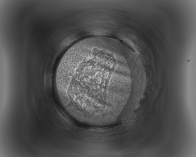 X0000083580299200703021823