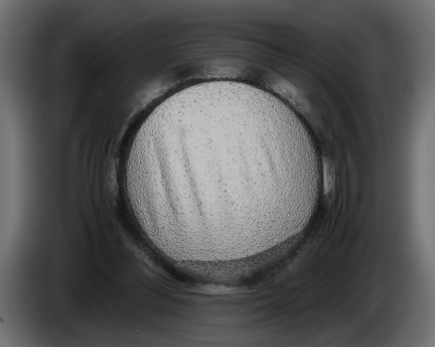 X0000083580300200703021823