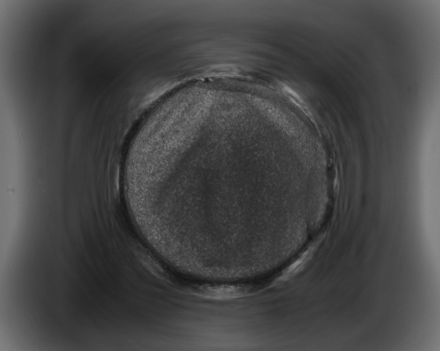 X0000083580301200703021823