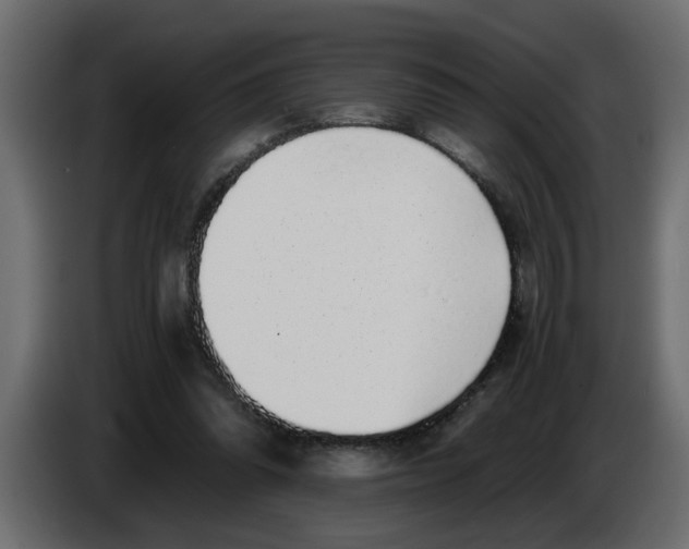 X0000083580302200703021823