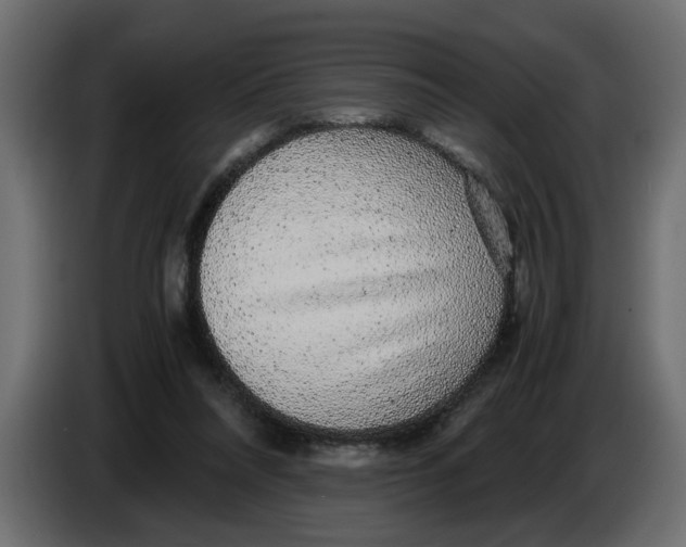 X0000083580304200703021823