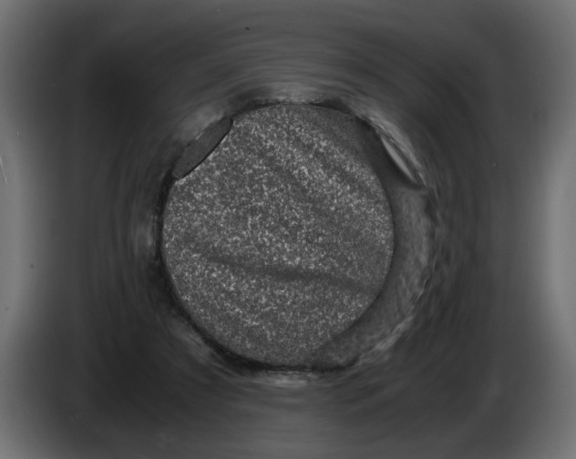 X0000083580305200703021823