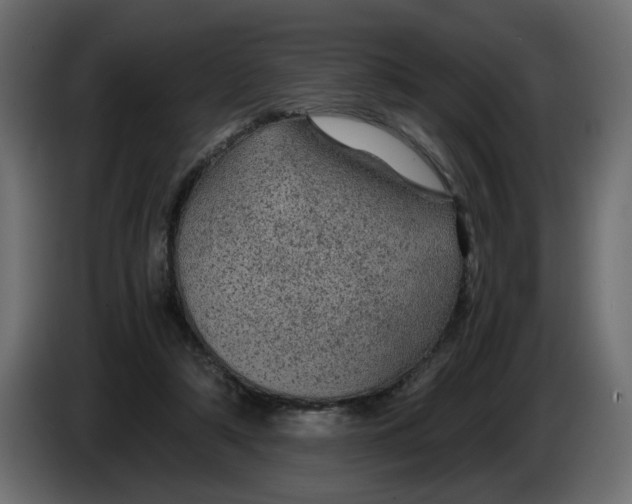 X0000083580306200703021823