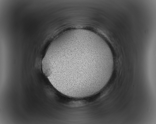 X0000083580307200703021823