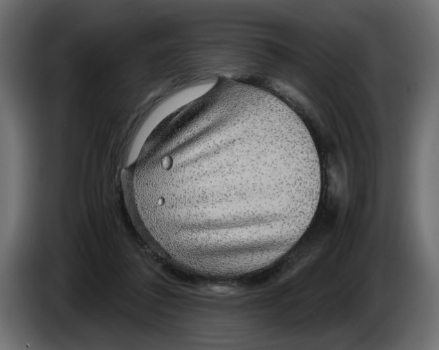 X0000083580308200703021823