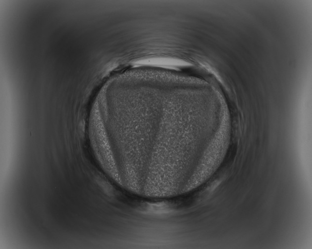 X0000083580309200703021823