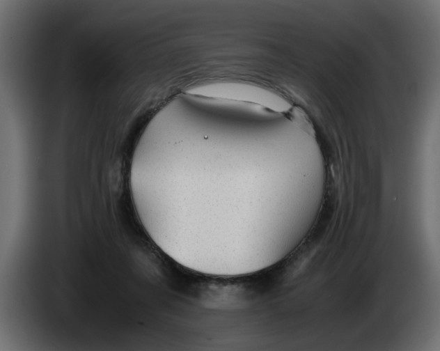 X0000083580311200703021823