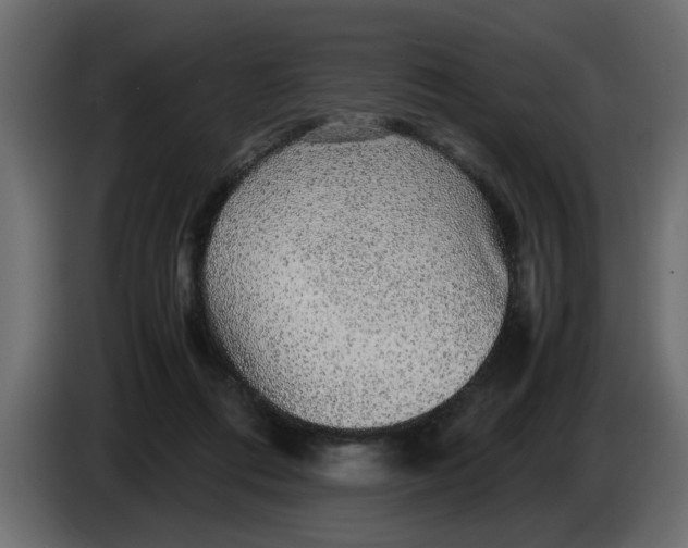 X0000083580312200703021823