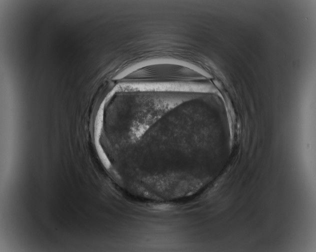 X0000083580313200703021823