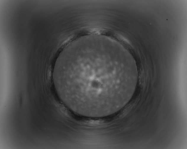 X0000083580314200703021823