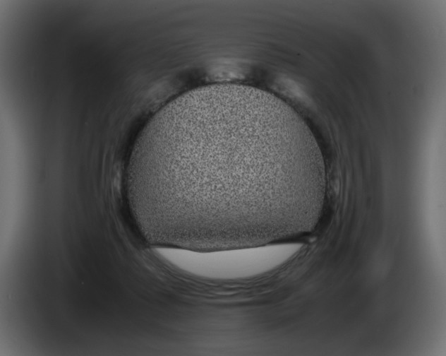 X0000083580315200703021823