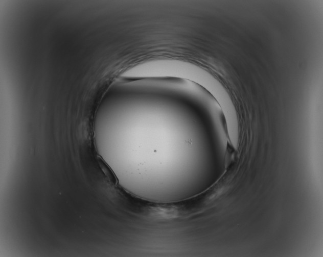 X0000083580317200703021823