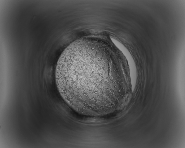 X0000083580319200703021823