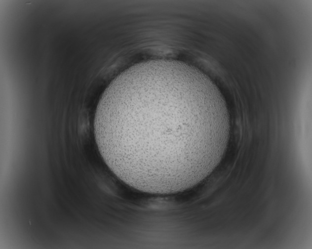 X0000083580320200703021823