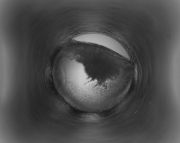 X0000083580322200703021823