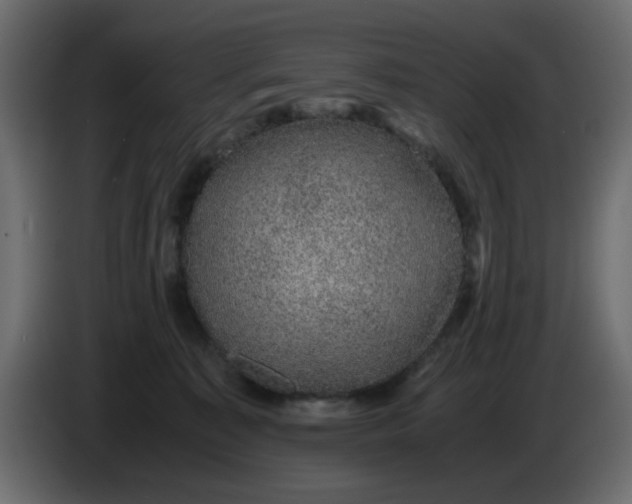 X0000083580323200703021823