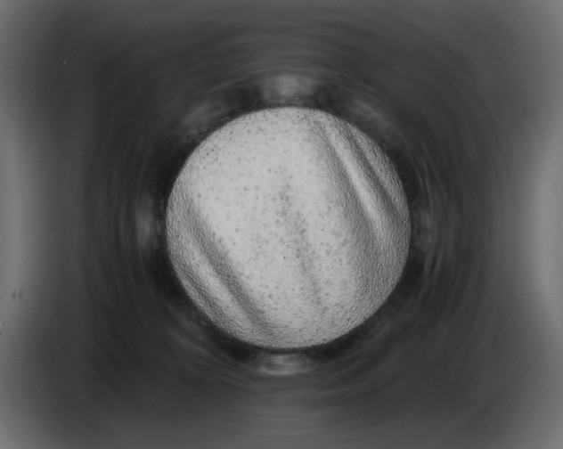 X0000083580324200703021823