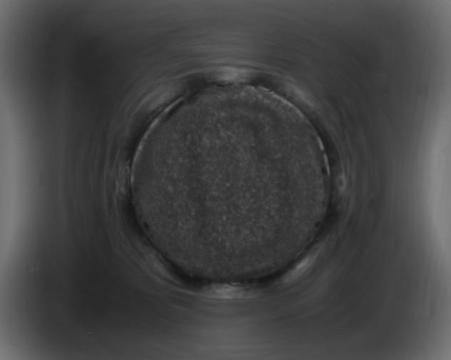 X0000083580325200703021823