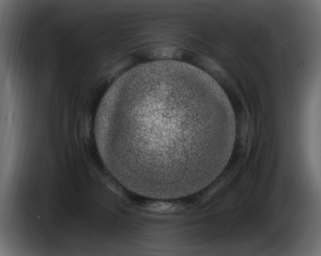 X0000083580326200703021823