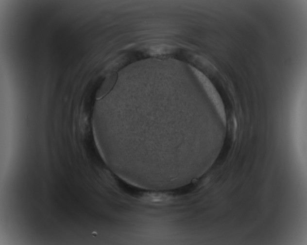 X0000083580327200703021823