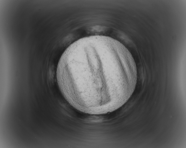 X0000083580328200703021823