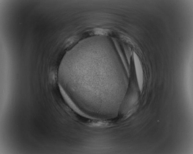 X0000083580329200703021823